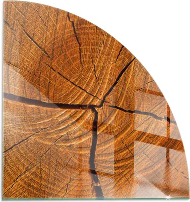 Produktbild von Holzmaserung im Querschnitt – Glasbodenplatte für – Kaminofen – Kaminplatte Glas – Schutzglas – Funkenschutzplatte –Glasbodenplatte Feuerfeste – Hitzeschutzplatte – Bodenschutz aus Glas – 1/4 100x100 cm