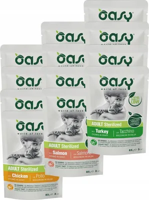 Image de OASY Chunks in gravy Saumon stérilisé - nourriture humide pour chats - 85 g