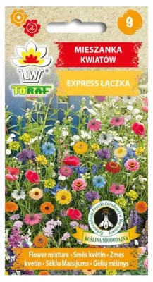 Zdjęcie produktu dla Mieszanka kwiatów EXPRESS ŁĄCZKA Nasiona kwiatów - 587 Toraf