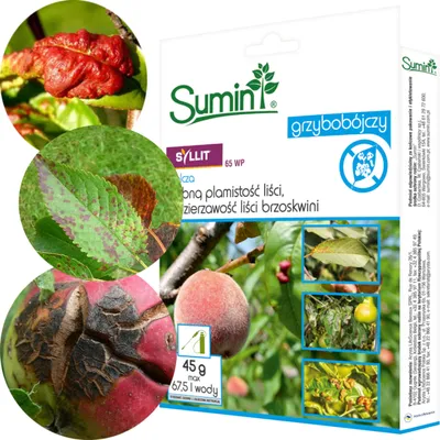 Produktbild von Syllit 65 Wp 45G, Sumin-Fungizid, Pfirsichkräuselung, Schorf, Blattflecken
