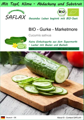 Produktbild von SAFLAX Garden to go - BIO - Gurke - Marketmore - Cucumis sativus - 20 Samen - Mit Topf, Klima - Deckel und Anzuchtsubstrat