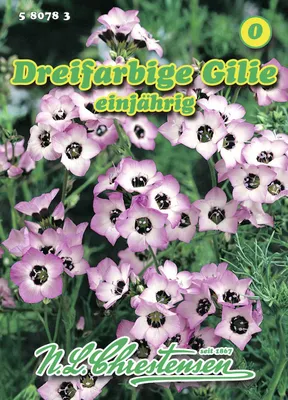 Produktbild von Gilie Tricolor | Blumensamen von N.L. Chrestensen