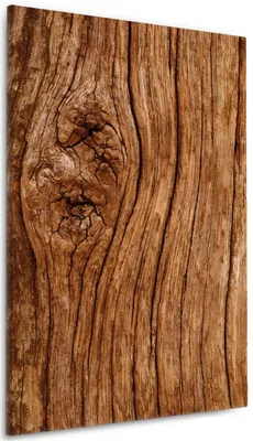 Produktbild von Wallario Premium Leinwandbild Holzstamm mit Asteinschluss in Größe 60 x 90 cm