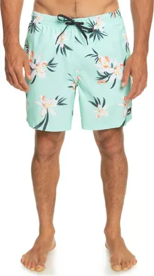 Produktbild von Quiksilver Everyday Mix Volley 17 Badeshorts Grün S Mann Grün S
