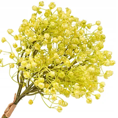 Obrázek produktu pro Topoblu Umělá větvička Gypsophila 6 ks 33 cm Žlutá