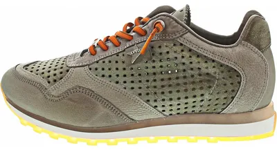 Produktbild von Cetti  Herrenschuhe Schnürschuhe Sneaker Grün Freizeit, Schuhgröße:46 EU