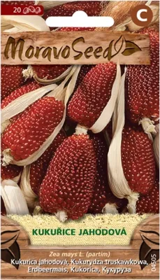 Immagine prodotto di Mais fragola 04505