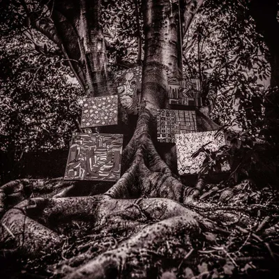 Obrázok produktu pre ImportCDs Harmony of Difference, Jazz, Vinyl, Fyzické médiá, Dospelý, 1 disky, 29/09/2017