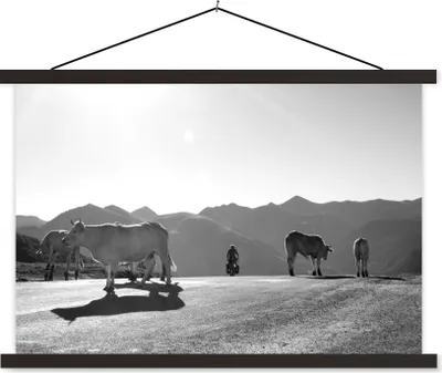 Produktbild von MuchoWow® Textilposter Schottische Hochlandrind - Licht - Berge - Natur 90x60 cm mit schwarzem Rahmen - Aufhängungssatz