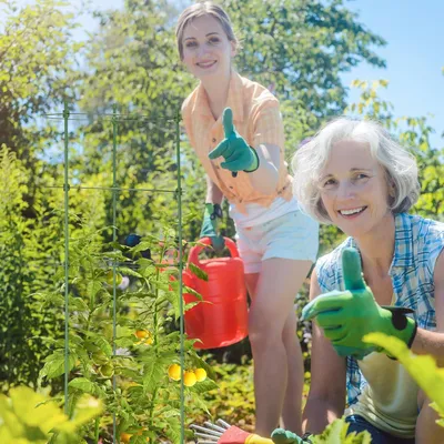 Productafbeelding van Famanu set van 4 tomatenplantensteunen - Ronde plantensteunen, 91 cm - Geschikt voor klimplanten