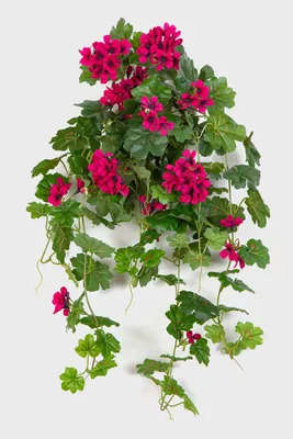 Produktbild von artplants.de Künstliche Geranie KAISA auf Steckstab, violett, 70cm - Künstliche hängende Pflanze