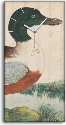Produktbild von Wanduhr Uhr Wandbild Leinwand Geräuschlos 30x60 Vögel Wild Tiere Zeichnung Kunst - weiße Hände