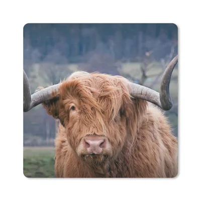Produktbild von MuchoWow® Mauspad Mousepad Schottischer Highlander - Hörner - Berg 30x30 cm - Mousepads - Maus Mat - Pad - Mausunterlage - Gaming