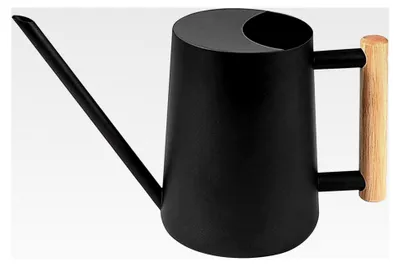 Produktbild von Gießkanne für Zimmerpflanzen, 1000ml Metallgießkanne aus Edelstahl, In- und Outdoor Gießkanne mit langem Auslauf und Holzgriff, geeignet für die Bewässerung von Zimmerpflanzen