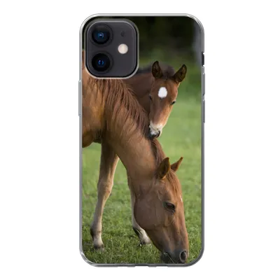 Produktbild von MuchoWow® Handyhülle Schutzhülle Hülle für iPhone 12 Pferde - Gras - Porträt Silikon Softcase Handy Hülle - Schutzhülle