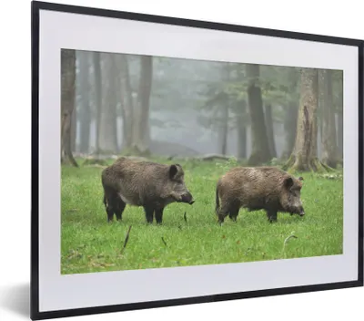 Produktbild von MuchoWow® MuchoWow® Gerahmtes Poster Wildschwein - Wald - Tier 40x30 cm - Poster mit zchwarzem Bilderrahmen - Bilderrahmen - Poster im Rahmen