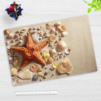 Produktbild von Schreibtischunterlage für Kinder und Erwachsene - Seestern & Muscheln am Strand - 60 x 40 cm - premium Vinyl - Germany