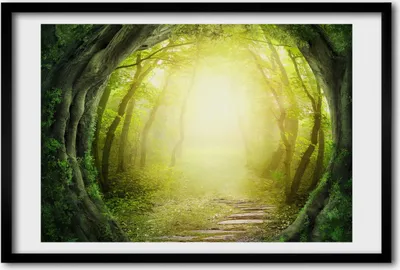 Produktbild von Bild 60x40 MDF-Rahmen, Wandkunst Tunnel der Bäume