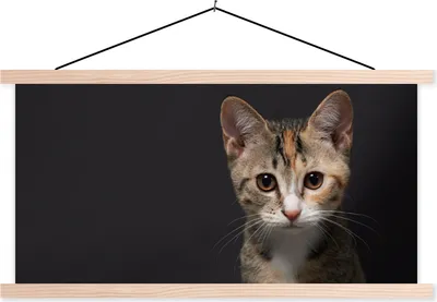 Produktbild von MuchoWow® Textilposter Katze - Schwarz - Porträt 60x30 cm mit holzfarbenen Rahmen - Dekoration