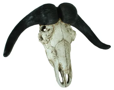 Produktbild von Deko-Geweih BÜFFEL - Kunststoff Natur 49x65,5x21cm | Geweih Tier-Dekoration
