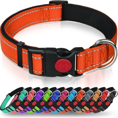 Produktbild von Hundehalsband Neopren Nylon Verstellbar Reflektierend Orange XL (45-70cm)