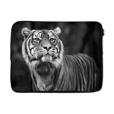 Produktbild von MuchoWow® Laptop Hülle 15 Zoll Tiger - Dschungel - Schwarz - Weiß Laptoptasche - Laptoptasche - Sleeve - Rundum-Schutz
