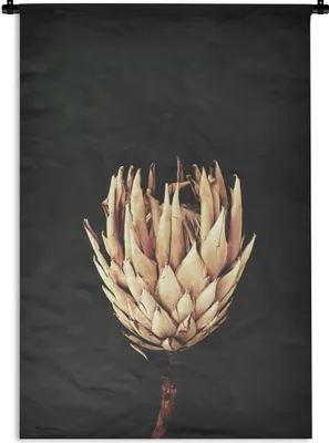 Produktbild von MuchoWow® Wandteppich Wandbehang Blume - Exotisch - Stilleben 60x90 cm Tapisserie Dekoration Wandtuch - Foto-Teppich - Abwaschbar