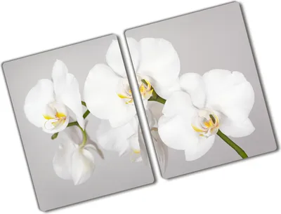 Produktbild von Tulup Glas Herdabdeckplatte - 2x40x52 cm - Glaskeramikkochfeld-Abdeckung Spritzschutz Glasabdeckplatte Kochplattenabdeckung und Schneidebrett - Zweiteilig - Blumen & Pflanzen - Orchidee - Weiß