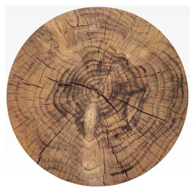 Produktbild von Platzdeckchen Tischunterlage Untersetzer für Teller Besteck Holzscheibe aus Kork 38 cm