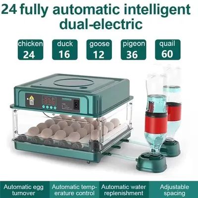 Produktbild von Brutautomat - Eierinkubator 24 Eier - Schubladenmodell - Automatische Wasserbefüllung - Digitale Temperaturregelung - Für Hühner- und Geflügeleier