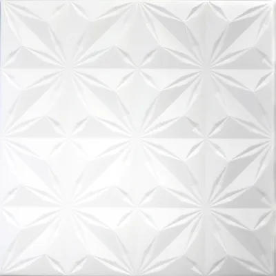 Produktbild von HEXIM Deckenplatten 50x50cm Styroporplatten weiß XPS Styropor, Deckenpaneele Feuchtraum Deckenverkleidung (NR.116, 2 m²)