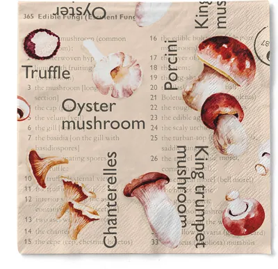 Produktbild von Sovie HORECA Serviette Pilze in Braun aus Tissue 33 x 33 cm, 3-lagig, 100 Stück