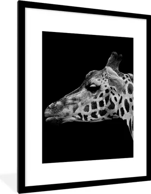 Produktbild von MuchoWow® Gerahmtes Poster Tiere - Giraffe - Schwarz - Weiß 60x80 cm - Poster mit Schwarzem Bilderrahmen Wandposter Rahmen Foto Bilder - Wohnzimmer - Dekorationen - Prämie