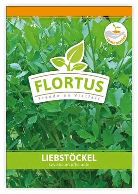 Artikelbild 1 von 'Liebstöckel' aus der Kategorie Liebstöckelsamen