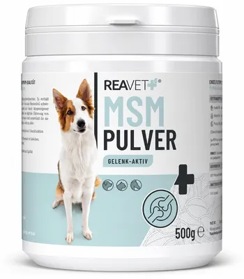 Produktbild von REAVET MSM Pulver 500g – MSM Pferd & Hund I Gelenkpulver für Sehnen, Bänder & Knorpel, Methylsulfonylmethan Pulver, Förderung der Bewegungsfreude