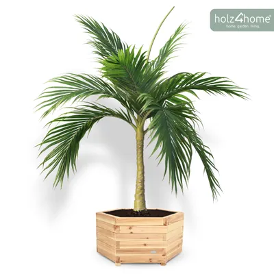Produktbild von holz4home® Outdoor Pflanzkübel XL I 6-Eckig aus Tannenholz inkl. Gartenhandschuhe & Vlies I Blumentopf Terrasse aus Holz I Pflanzkasten Pflanzenkübel