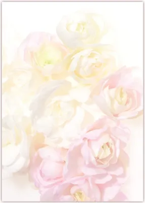 Produktbild von Motiv Briefpapier (Blumen-5032, DIN A4, 25 Blatt). Einseitig bedrucktes Briefpapier,  beschreibbar, Motivpapier für alle Drucker/Kopierer geeignet Motiv Blumen wunderschöne pink rosa Blumenstrauß aus Rosen