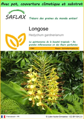 Image de SAFLAX Garden to go - Longose - 10 graines - Hedychum