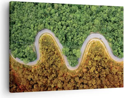Produktbild von Bild auf Leinwand - Leinwandbild - Einteilig - Luftaufnahmen Weg Wald - 70x50cm - Wand Bild - Wanddeko - Wandbilder - Leinwanddruck - Bilder - Wanddekoration - Leinwand bilder - AA70x50-4659