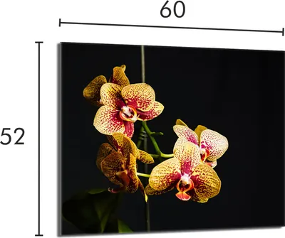 Obrázok produktu pre Ochranný sklenený plech na sporák 60x52 Orchidea