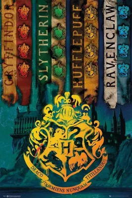 Produktbild von Harry Potter Poster Hogwarts Häuserwappen 91,5 x 61 cm