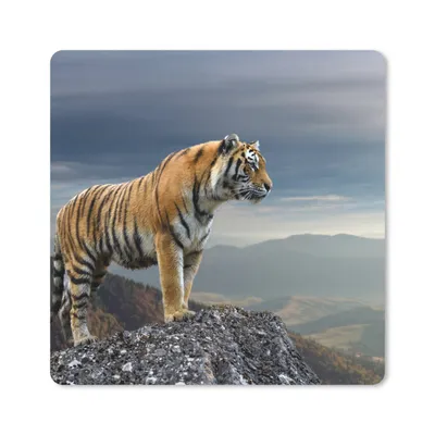 Produktbild von MuchoWow® Mauspad Mousepad Tiger - Berg - Natur - Landschaft 20x20 cm - Mousepads - Maus Mat - Pad - Mausunterlage - Desk Mat - Bureauartikeln