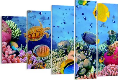 Produktbild von Bild auf Leinwand - Leinwandbild - Korallenriff - 150x100cm - Wand Bild - Wanddeko - Wandbilder - Leinwanddruck - Bilder - Kunstdruck - Wanddekoration - Leinwand bilder - Wandkunst - EG150x100-3569
