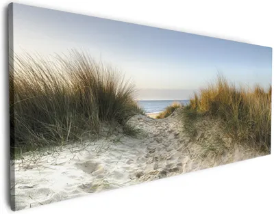 Produktbild von Wallario Premium Leinwandbild Weg durch die Dünen zum Strand am Meer in Größe 80 x 200 cm