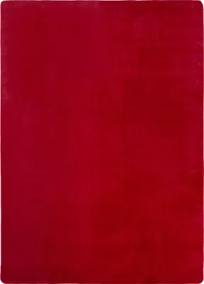 Produktbild von Teppium Waschbarer Kurzflor Teppich, rutschfest & weich, Modernes Einfarbig Design für Wohnzimmer, Schlafzimmer, Grösse: 200x290 cm