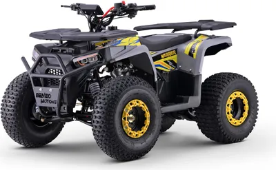Produktbild von ATV – Quad für Kinder Beneo Motors WARRIOR Gelb – 125 cc