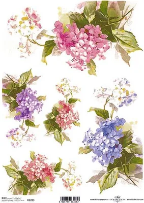 Zdjęcie produktu dla Papier ryżowy do decoupage ITD-R1203 / hortensja