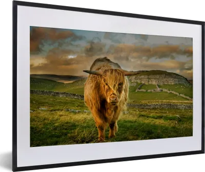 Produktbild von MuchoWow® Gerahmtes Poster Schottischer Highlander - Gras - Berg 60x40 cm - Poster mit Schwarzem Bilderrahmen Wandposter Rahmen Foto Bilder - Schlafzimmer - Plakat in Rahmen - Drucken