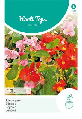 Artikelbild 2 von 'Begonie Mixed' aus der Kategorie Blumensamen
