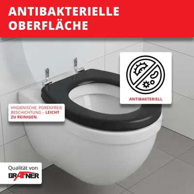 Produktbild von Grafner WC-Sitz mit Absenkautomatik in verschiedenen Designs : Stone Pile Farbe: Stone Pile